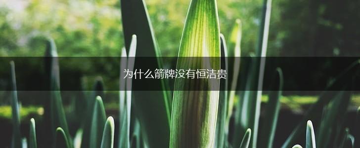 为什么箭牌没有恒洁贵,第1张