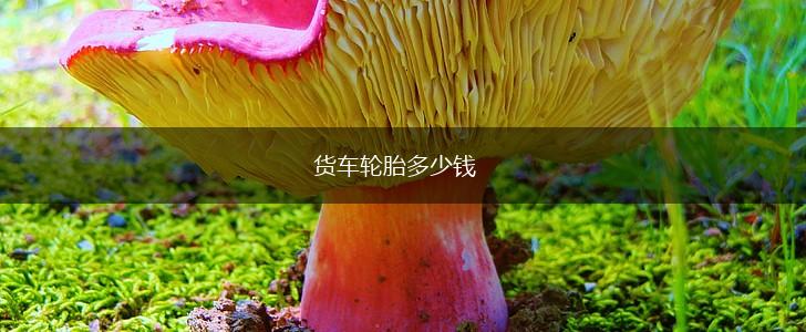 货车轮胎多少钱,第1张