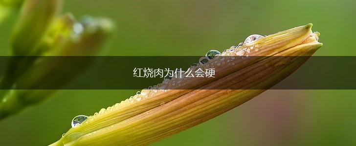 红烧肉为什么会硬,第1张