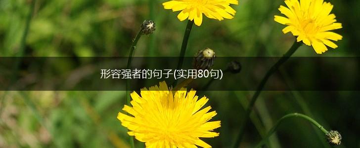 形容强者的句子(实用80句),第1张
