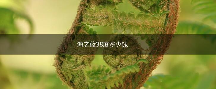 海之蓝38度多少钱,第1张