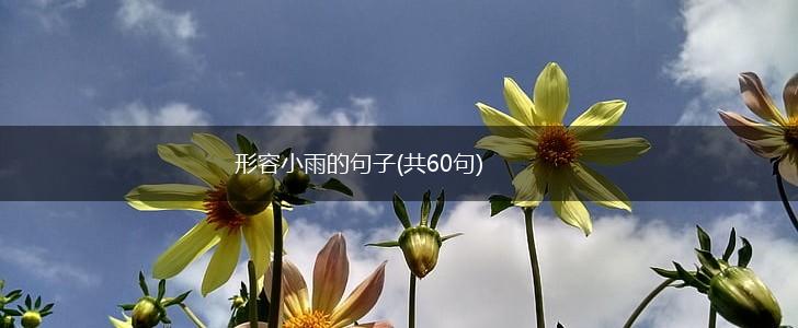 形容小雨的句子(共60句),第1张
