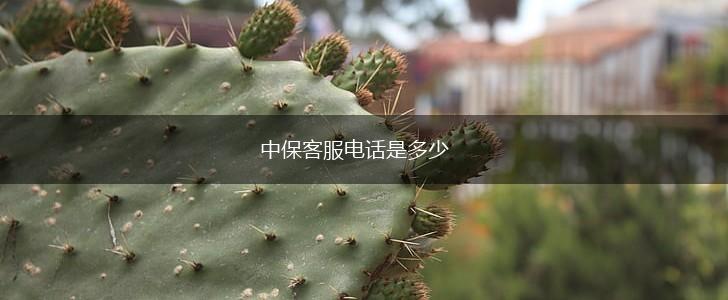 中保客服电话是多少,第1张