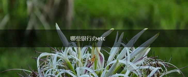 哪些银行办etc,第1张