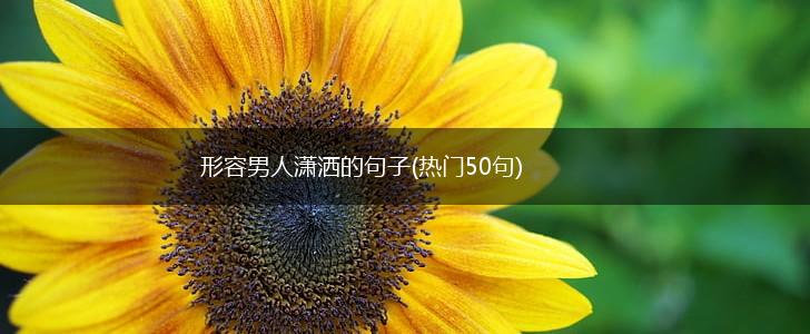 形容男人潇洒的句子(热门50句),第1张