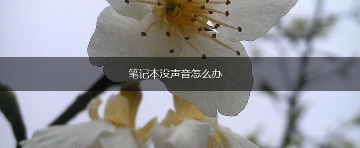 笔记本没声音怎么办,第1张