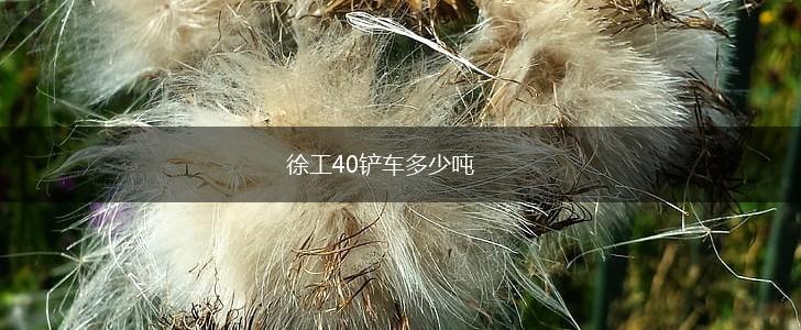 徐工40铲车多少吨,第1张