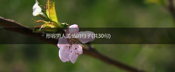形容男人滥情的句子(共30句),第1张