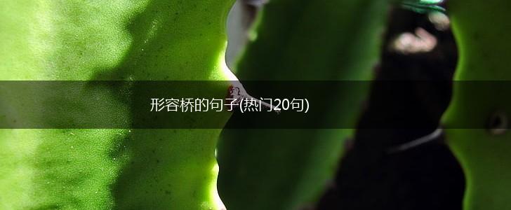 形容桥的句子(热门20句),第1张