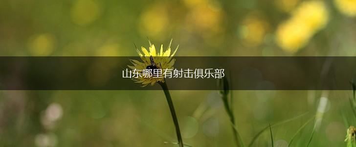 山东哪里有射击俱乐部,第1张