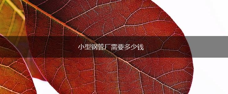 小型钢管厂需要多少钱,第1张