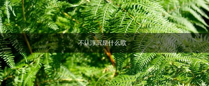 不认浮沉是什么歌,第1张