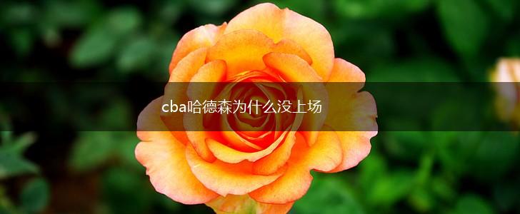 cba哈德森为什么没上场,第1张