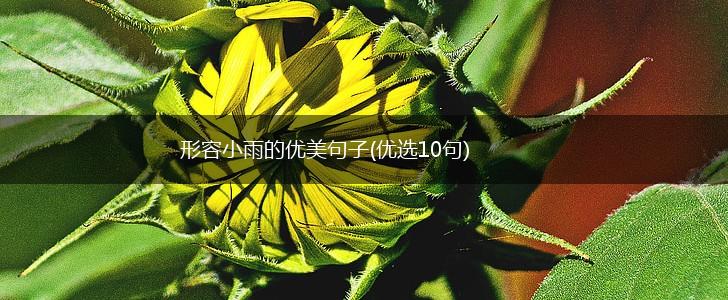 形容小雨的优美句子(优选10句),第1张