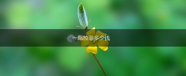 一瓶拉菲多少钱,第1张