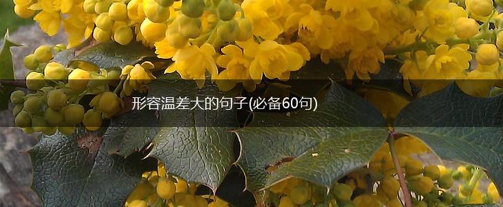形容温差大的句子(必备60句),第1张