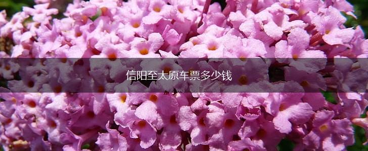 信阳至太原车票多少钱,第1张