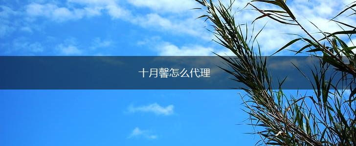 十月馨怎么代理,第1张