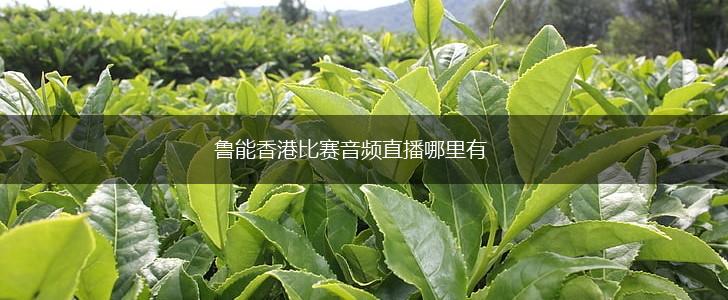 鲁能香港比赛音频直播哪里有,第1张