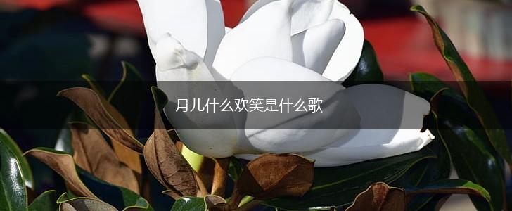 月儿什么欢笑是什么歌,第1张