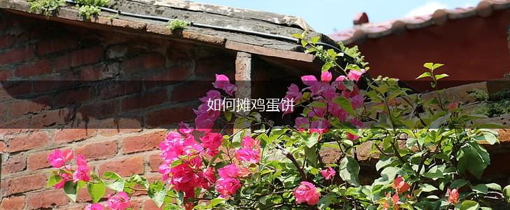 如何摊鸡蛋饼,第1张