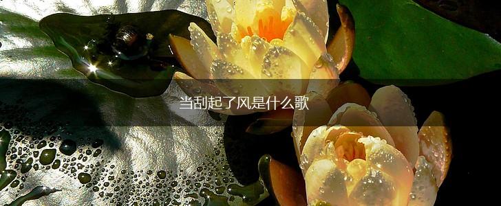 当刮起了风是什么歌,第1张