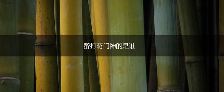 醉打蒋门神的是谁,第1张
