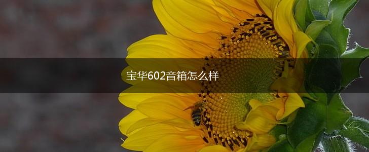 宝华602音箱怎么样,第1张