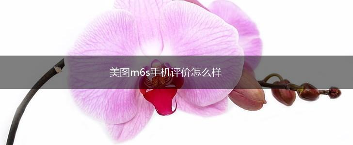 美图m6s手机评价怎么样,第1张
