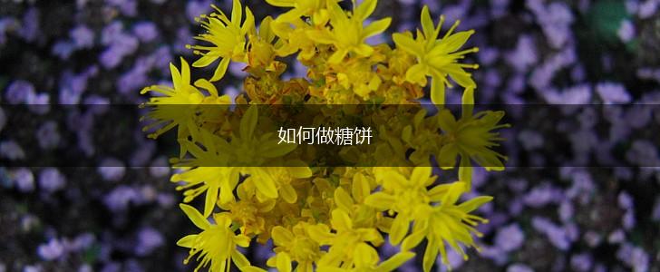 如何做糖饼,第1张