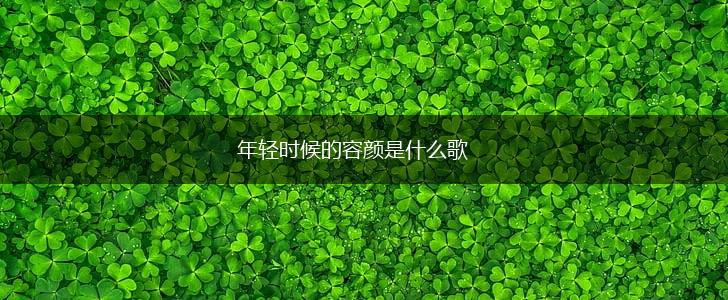 年轻时候的容颜是什么歌,第1张
