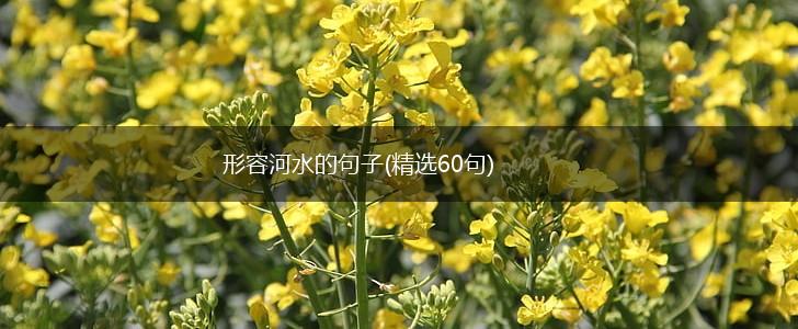 形容河水的句子(精选60句),第1张