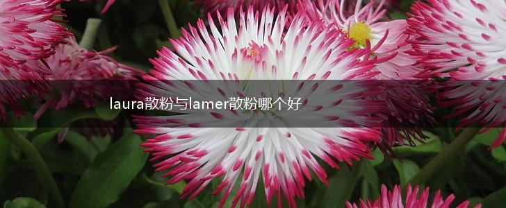 laura散粉与lamer散粉哪个好,第1张
