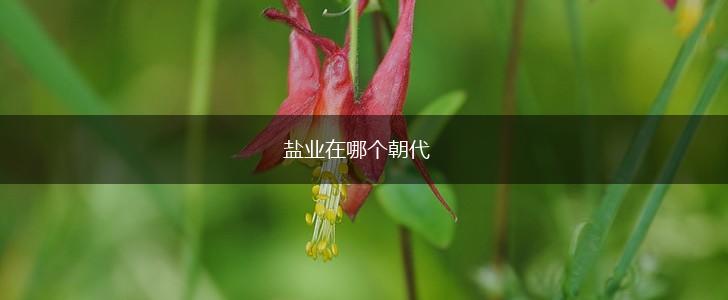 盐业在哪个朝代,第1张