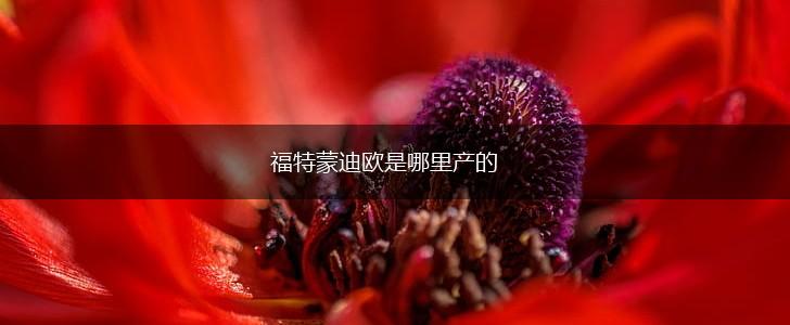 福特蒙迪欧是哪里产的,第1张