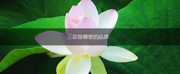 三彩是哪里的品牌,第1张