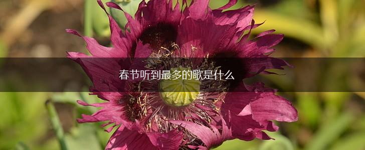 春节听到最多的歌是什么,第1张