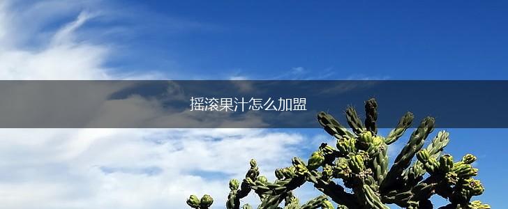 摇滚果汁怎么加盟,第1张