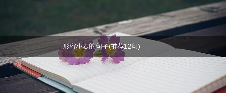 形容小麦的句子(推荐12句),第1张