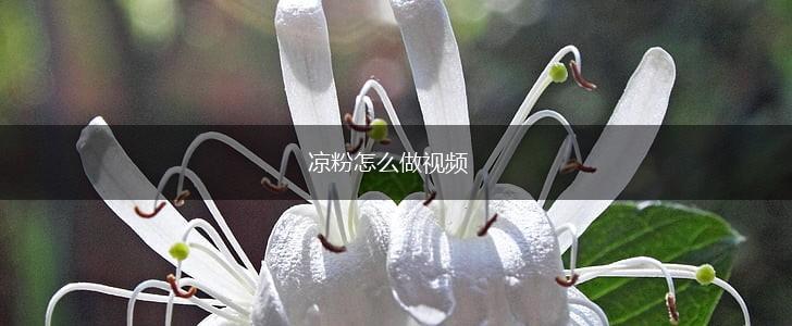 凉粉怎么做视频,第1张