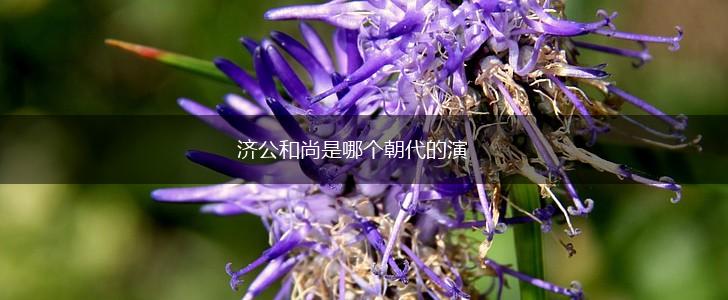 济公和尚是哪个朝代的演,第1张