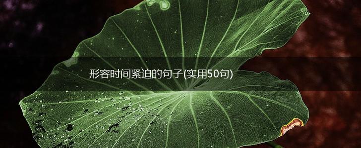 形容时间紧迫的句子(实用50句),第1张
