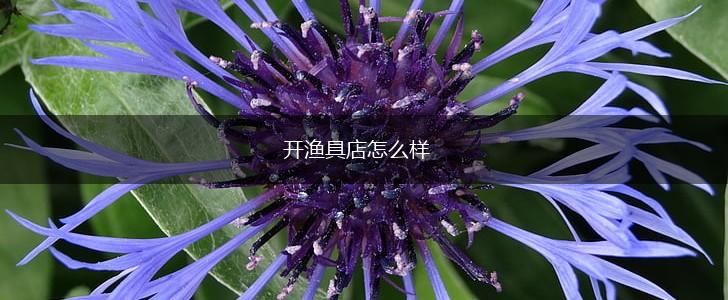 开渔具店怎么样,第1张
