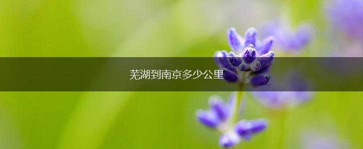 芜湖到南京多少公里,第1张
