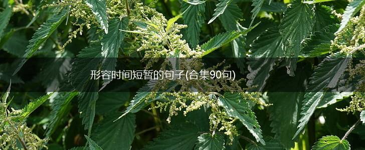 形容时间短暂的句子(合集90句),第1张