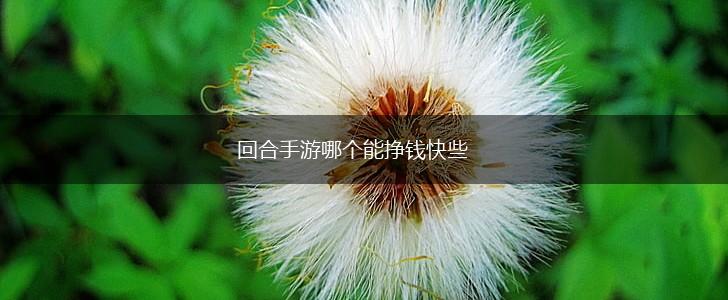 回合手游哪个能挣钱快些,第1张