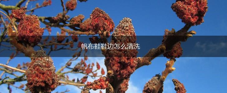 帆布鞋鞋边怎么清洗,第1张