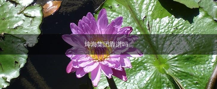 坤海集团靠谱吗,第1张
