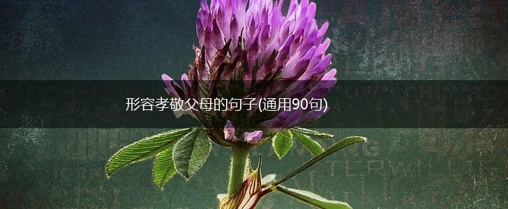 形容孝敬父母的句子(通用90句),第1张