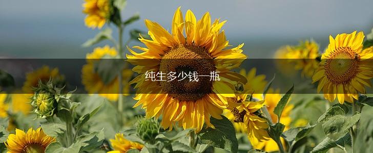 纯生多少钱一瓶,第1张